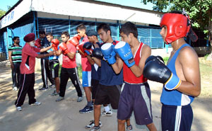 In the last 30 years, the Punjab Sports Department has hired not more than 10 permanent coaches.