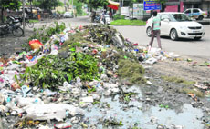 A heap of garbage at Master Tara Singh Nagar, near District Administrative Complex, in Jalandhar on Friday.