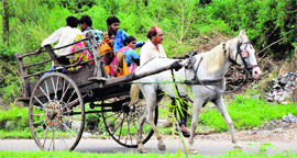In the absence of public transport due to the bandh, people use bullock cart in Jammu on Saturday.