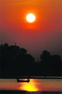 The setting sun paints a pleasant portrait near Thermal lake in Bathinda.