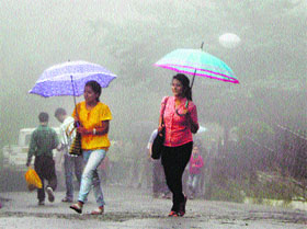 Girls walk with umbrellas during rain and foggy weather in Shimla on Sunday. 