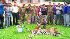  Nawab S Ali Khan poses with the leopard killed by him in the Thunag area on Sunday.