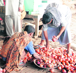 A shopkeeper sells onions at a sabzi mandi in Amritsar on Monday.