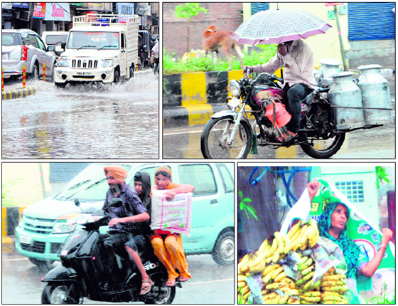 (Clockwise from top left) The waterlogged Lawrence Road; a milkman carrying an umbrella to save himself from the rain; a fruit vendor protects herself with a polythene sheet; a family braves the early morning showers in Amritsar on Monday.