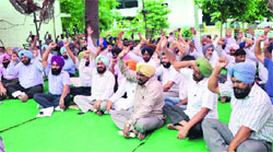 Patwaris and kanungos protest at Mini-Secretariat in Ludhiana on Monday.