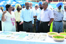 Dr VK Taneja, Vice-Chancellor, GADVASU, accompanies the chief guest, Dr G Vajralingam, to a stall during a workshop at the university in Ludhiana on Monday.