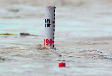 Ganga flows above the danger mark.