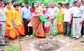 District Magistrate Nidhi Pandey waters a sapling during the launch of a green drive on the BHEL premises in Haridwar on Wednesday