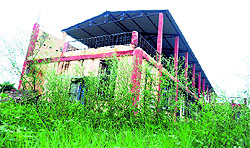 Wild grass is unchecked close to the turf (above) and stalled construction work of the proposed hostel