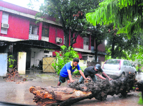 Residents shift a tree that fell on a woman in Sector 22-D, Chandigarh. 