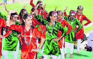 Artistes perfrom during a cultural programme on Independence Day in Kangra. 