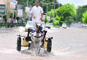 A horse cart rider crosses a waterlogged road as showers inundated the city.