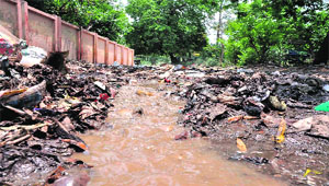 Due to lack of proper sewerage system, sewage flows openly and pours directly into the Ganga in Haridwar. 
