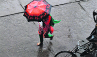Incessant rain in the region has hit the normal life. Tribune photo: Rajesh Sachar