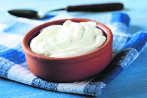 Probiotics in curd strengthen natural immunity