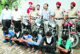 The members of the gang in police custody in Ludhiana on Sunday