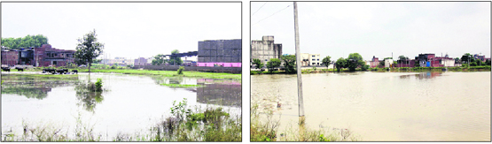 Submerged plots in the New Focal Point on Mehta Road in Amritsar. An overflowing sewage fills the area with polluted water discharged by the industries.