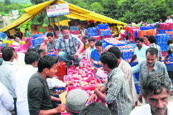 Farmers sell apples at the Bandrol market in Kullu. Photo by writer