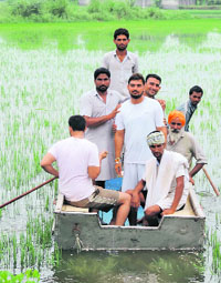 Villagers wade through flooded fields at Udekaran village in Muktsar on Monday. 