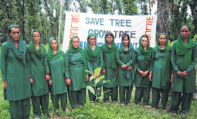 Members of the Mahila Paryavaran Avam Van Suraksha Samiti, Amboya.