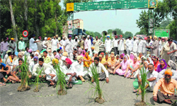 Congress workers block the Bathinda-Amritsar road to protest against the tussle over the accumulated rainwater. A Tribune photograph