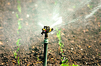Conservation irrigation like drip and sprinkler consume lower amounts of water