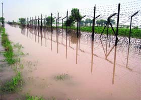 Flooded fields along Indo-Pak border in Fazilka
