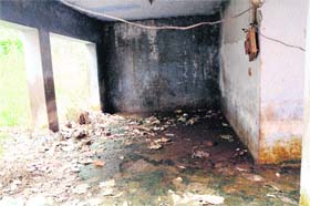 The shed for animals in a poor condition at the animal husbandry office near Hathi Gate in Amritsar