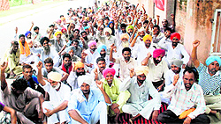Members of the Forest Department Field Workers Union hold a protest outside the office of the Divisional Forest Officer demanding the release of their salaries in Bathinda on Thursday