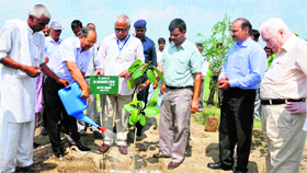 Murthal university Vice-Chancellor Mohinder Kumar plants a sapling while launching a tree-plantation drive on the university premises.