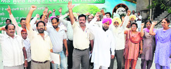 Employees of the Municipal Corporation, Bathinda, raise slogans against senior Akali leader Rajinder Singh Sidhu on Friday. 
