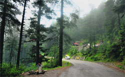 A breathtaking view of Patnitop tourist resort. 
