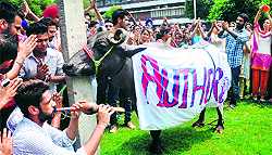 PAU students play a musical instrument in front of a buffalo during a protest against the university authorities in Ludhiana on Friday