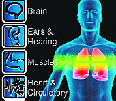 Breathe2Relax is a portable stress management app [Price: Free]