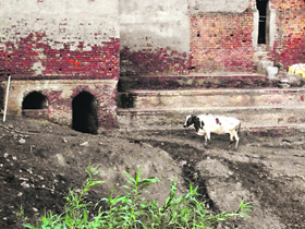 The sarovar lies neglected