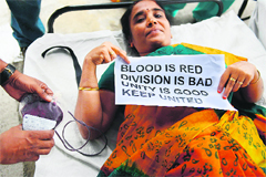 A supporter of united Andhra Pradesh holds a placard while donating blood during a protest against the formation of Telangana state in Hyderabad on Sunday. 