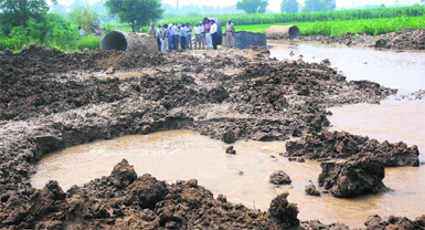 A pool formed by water discharged from damaged pipes at Gharuan in Kharar on Monday. Tribune photo: Vicky Gharu
