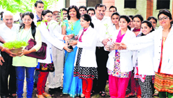 Members of the Himalaya Parivar- Environmental Organisation plant medicinal saplings at Rishikul Ayurvedic College in Haridwar on Monday. Tribune photo: Rameshwar Gaur 