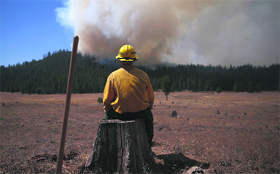 A firefighter of the US Fish and Wildlife Service monitors the rim fire in California.
