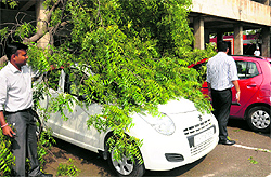 The damaged car at Sector 34 in Chandigarh on Tuesday