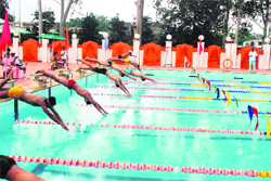 Cadets of RIMC participate in the inter-house swimming competition in Dehradun on Tuesday.