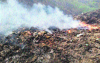 The waste being burnt along the NH-21 near Bindrabani dumping site of the Mandi Municipal Council