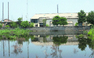 A waterlogged plot in the industrial area of Samba