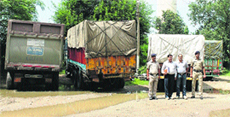 Trucks carrying illegal mining material in police custody in Una on Thursday.