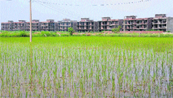 A recently acquired land in Mullanpur