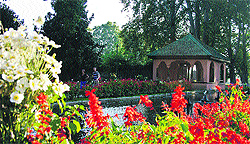 The Shalimar Garden in Srinagar