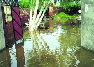 A flooded house at Haraj village in Muktsar district. 