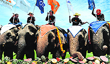 Elephants eat fruits at a buffet during the annual elephant polo tournament in Bangkok on Thursday