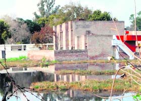 Stagnant water near the residential complex of the Amritsar Central Jail