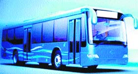 The city bus service was expected to hit the roads in a months time but that was not to be